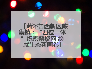 菏泽鲁西新区陈集镇：“四位一体”织密禁烧网 绘就生态新画卷