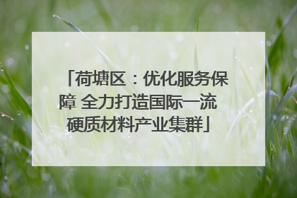 荷塘区：优化服务保障 全力打造国际一流硬质材料产业集群