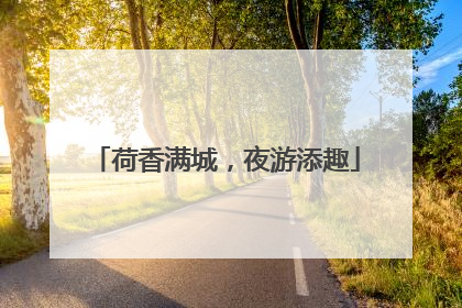荷香满城，夜游添趣