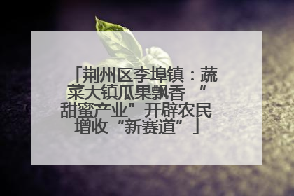 荆州区李埠镇：蔬菜大镇瓜果飘香 “甜蜜产业”开辟农民增收“新赛道”
