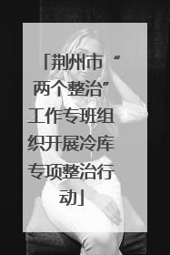 荆州市“两个整治”工作专班组织开展冷库专项整治行动