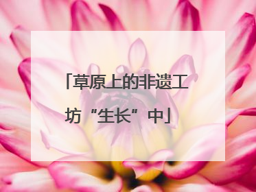 草原上的非遗工坊“生长”中