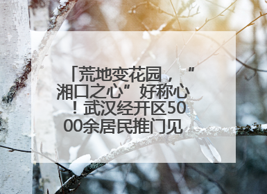 荒地变花园，“湘口之心”好称心！武汉经开区5000余居民推门见绿满眼风景