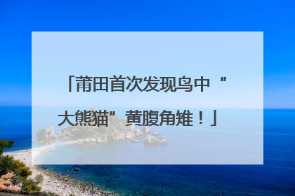 莆田首次发现鸟中“大熊猫”黄腹角雉！