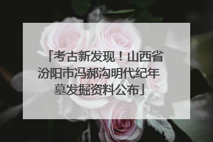 考古新发现！山西省汾阳市冯郝沟明代纪年墓发掘资料公布