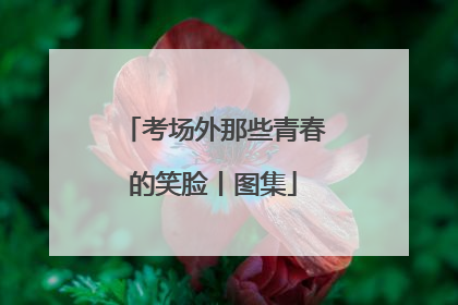 考场外那些青春的笑脸丨图集