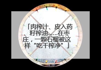 肉榨汁、皮入药、籽榨油……在枣庄，一颗石榴被这样“吃干榨净”