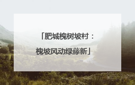 肥城槐树坡村：槐坡风动绿藤新