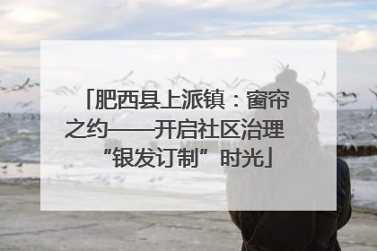 肥西县上派镇：窗帘之约——开启社区治理“银发订制”时光