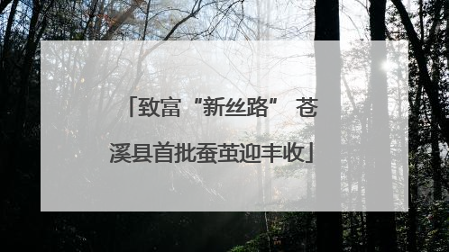 致富“新丝路” 苍溪县首批蚕茧迎丰收