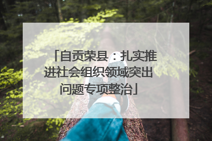 自贡荣县：扎实推进社会组织领域突出问题专项整治