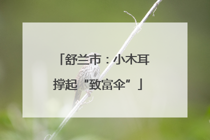 舒兰市：小木耳撑起“致富伞”
