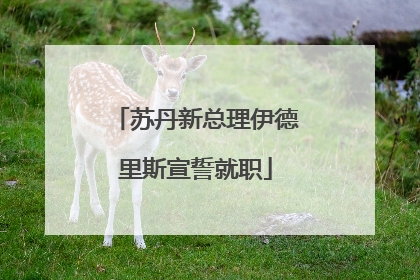苏丹新总理伊德里斯宣誓就职