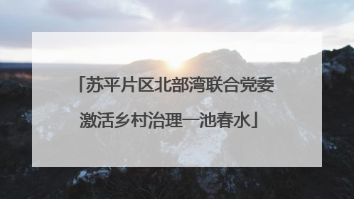 苏平片区北部湾联合党委 激活乡村治理一池春水