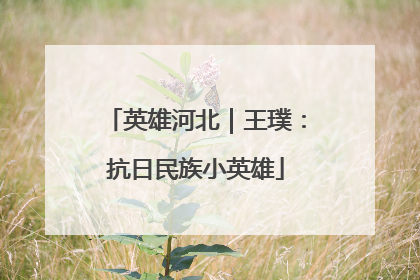 英雄河北｜王璞：抗日民族小英雄
