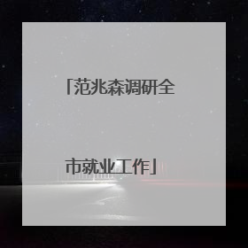 范兆森调研全市就业工作