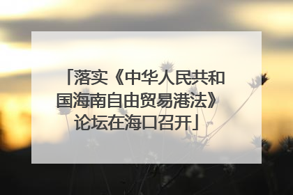 落实《中华人民共和国海南自由贸易港法》论坛在海口召开