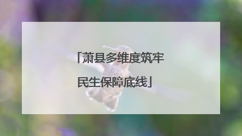 萧县多维度筑牢民生保障底线