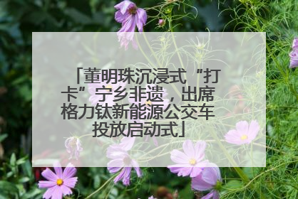 董明珠沉浸式“打卡”宁乡非遗，出席格力钛新能源公交车投放启动式