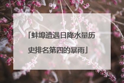 蚌埠遭遇日降水量历史排名第四的暴雨