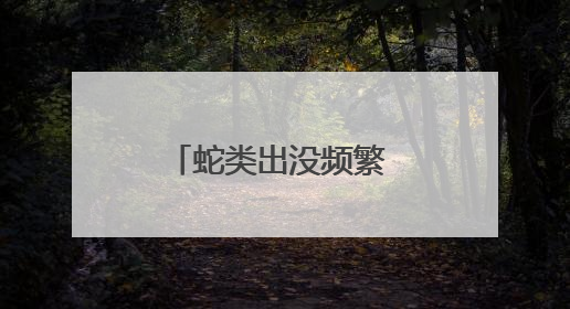 蛇类出没频繁 谨记防范事项