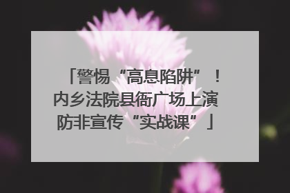 警惕“高息陷阱”！内乡法院县衙广场上演防非宣传“实战课”