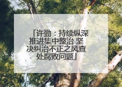 许勤：持续纵深推进集中整治 坚决纠治不正之风查处腐败问题