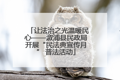 让法治之光温暖民心——溆浦县民政局开展“民法典宣传月” 普法活动