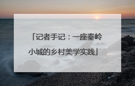记者手记：一座秦岭小城的乡村美学实践
