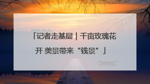 记者走基层｜千亩玫瑰花开 美景带来“钱景”
