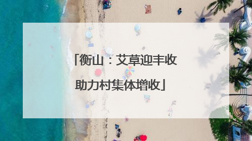 衡山：艾草迎丰收 助力村集体增收