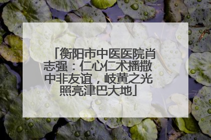 衡阳市中医医院肖志强：仁心仁术播撒中非友谊，岐黄之光照亮津巴大地