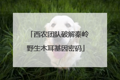 西农团队破解秦岭野生木耳基因密码