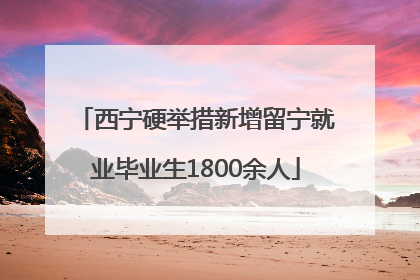 西宁硬举措新增留宁就业毕业生1800余人