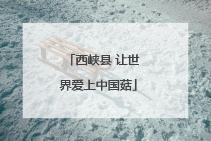 西峡县 让世界爱上中国菇