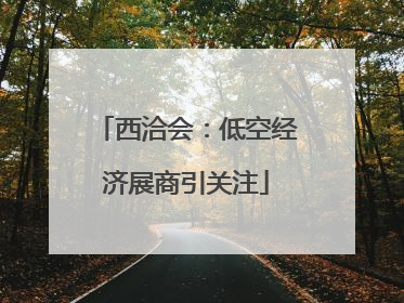 西洽会：低空经济展商引关注