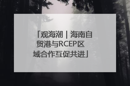 观海潮｜海南自贸港与RCEP区域合作互促共进