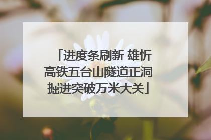 进度条刷新 雄忻高铁五台山隧道正洞掘进突破万米大关