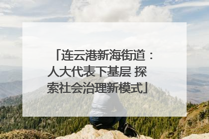 连云港新海街道：人大代表下基层 探索社会治理新模式