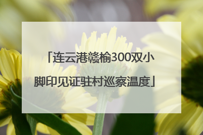 连云港赣榆300双小脚印见证驻村巡察温度