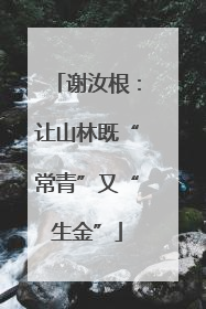 谢汝根：让山林既“常青”又“生金”