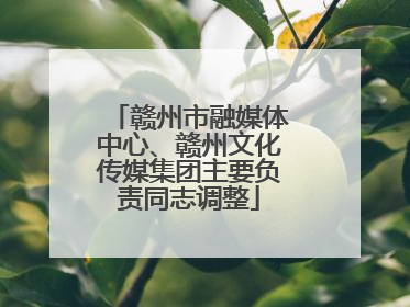 赣州市融媒体中心、赣州文化传媒集团主要负责同志调整