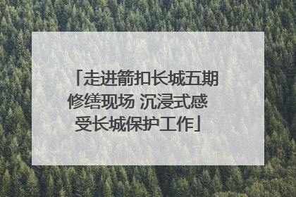 走进箭扣长城五期修缮现场 沉浸式感受长城保护工作