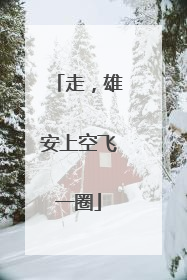 走，雄安上空飞一圈