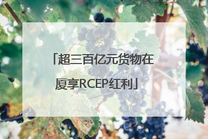 超三百亿元货物在厦享RCEP红利