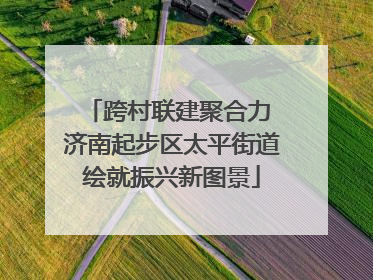 跨村联建聚合力 济南起步区太平街道绘就振兴新图景