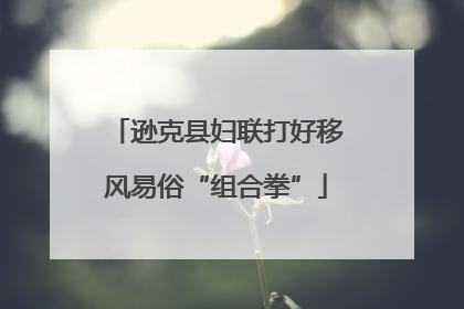 逊克县妇联打好移风易俗“组合拳”