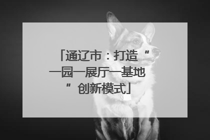 通辽市：打造“一园一展厅一基地”创新模式