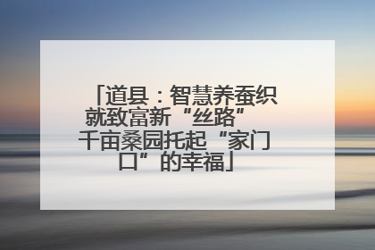 道县：智慧养蚕织就致富新“丝路” 千亩桑园托起“家门口”的幸福