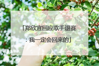 郑欣宜回应歌手退赛：我一定会回来的